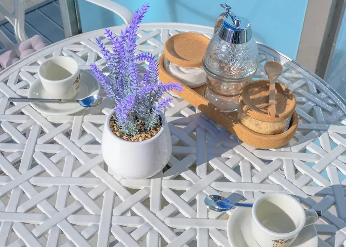 Lelle Marine Voila * 巴拉通雷勒